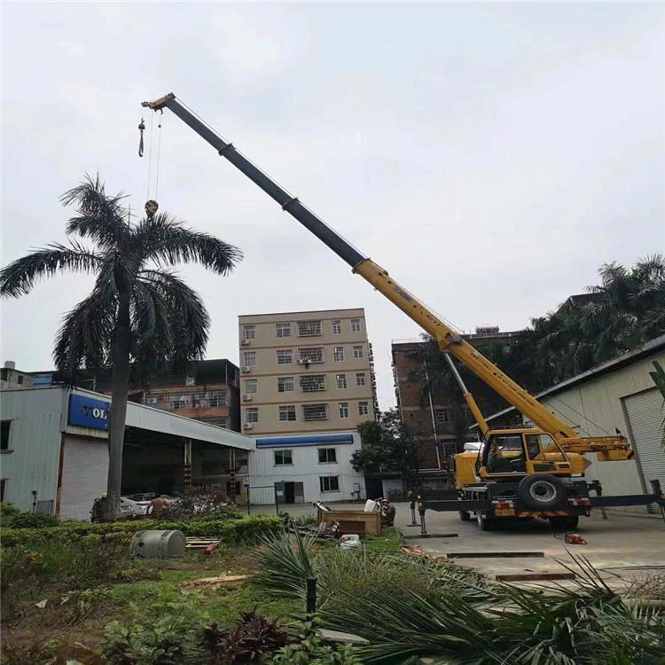 宁波北仑汽车吊出租多少钱？全面解析与市场行情